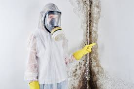 Mold Remediation for Rental Properties